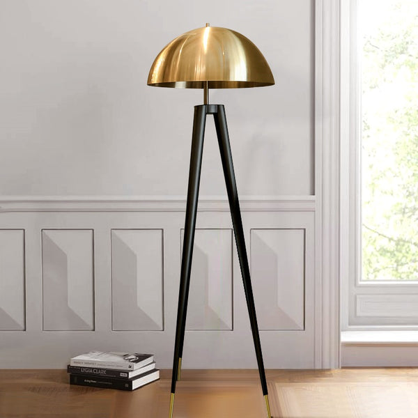 Hoag's Floor Lamp